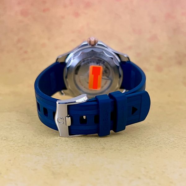 Omega Seamaster Diver 300m 210.22.42.20.03.002